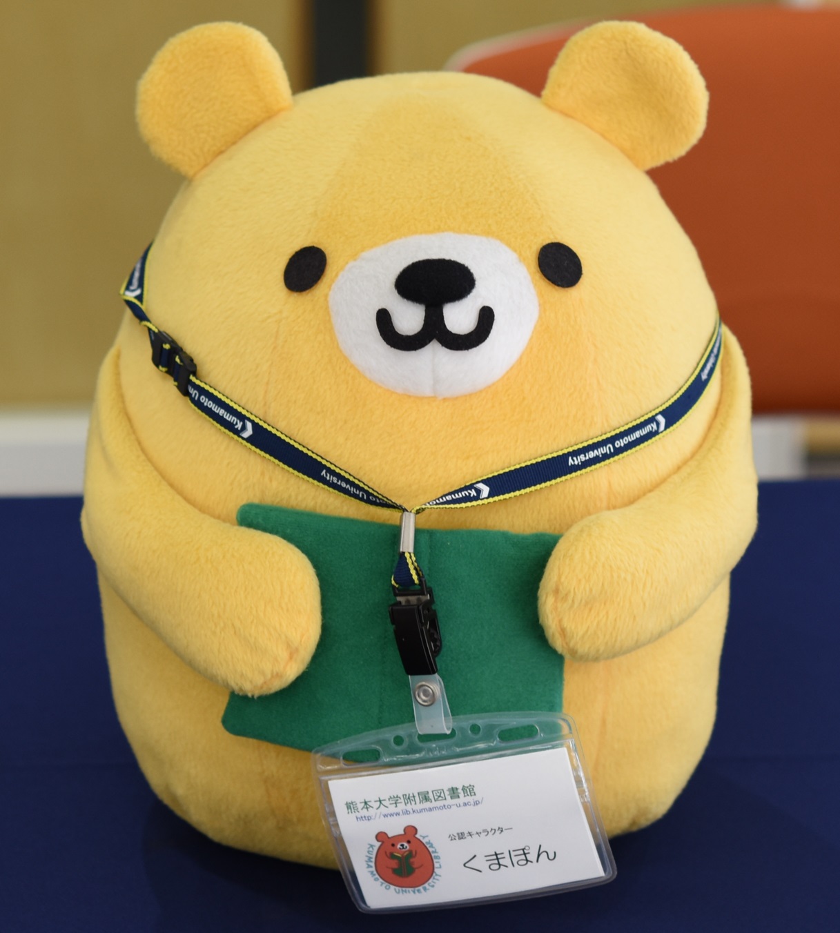 くまぽんの写真